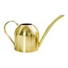 Watering Can for Indoor Plants Orchid Bonsai Stainless Steel Small Watering Can