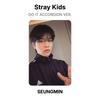 Stray Kids DO IT ACCORDION VER. Official Photocard