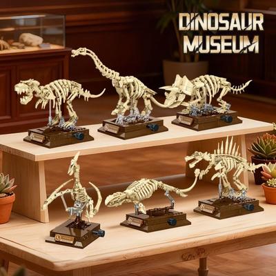 Bâtiment Squelette Tyrannosaure Rex Jouet Éducatif Squelette de Dinosaure Affichage Fossile