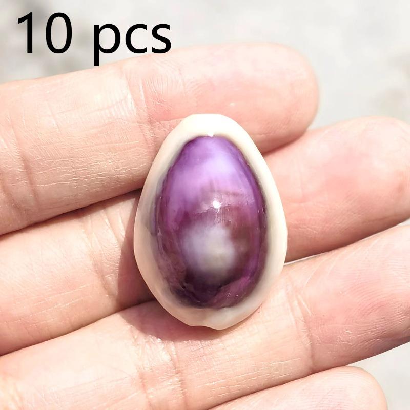 

10 pcs Blue eyed conch, natural small conch, shell, home decoration, specimen, collection decoration, children s handmade DIY craft