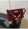Premium Retro Matte Bag Women's Winter New Casual Hand Carry Small Square Bag Single Shoulder Messenger Bag