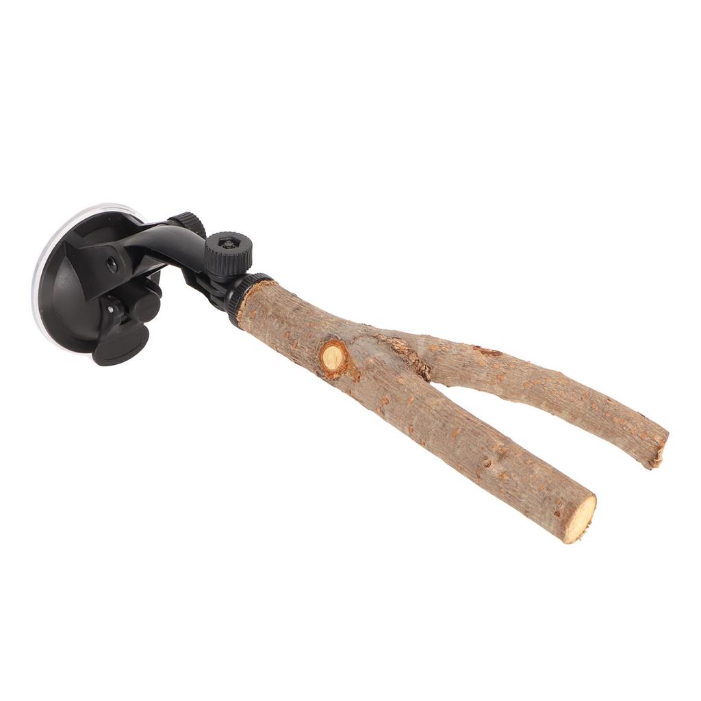 Bird Branch Perch Stand Training Interactive Prevent Slip Wooden   Perch with Suction Cups for Small Medium Bird