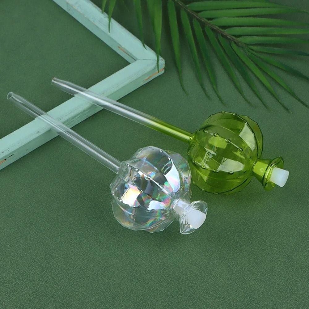 Automatic Automatic Plant Watering Bulbs Cactus Plant Water Feeder Glass Bulbs New Year Gift