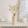 Cream Style Decorative Vases for Living Room, Bedroom, or TV Cabinet with Dried Flowers