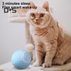 Interactive Cat Ball Toy USB Rechargeable Self Moving Ball Automatic Rotatable Smart Cat Ball Indoor Active Rolling Toys for Kitten Cats