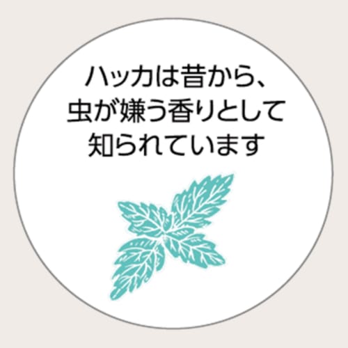 KINCHO Preshower Insect Repellent Spray DF (DEET-Free) with Peppermint Oil, 100ml, Icaridin