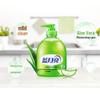 Blue Moon Aloe Antibacterial Hand Wash (500g Bottle + 500g Refill)