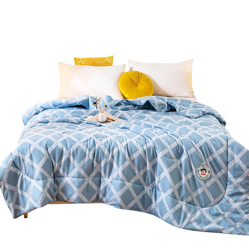 Paul Frank Niacinamide Moisturizing All-Season Quilt