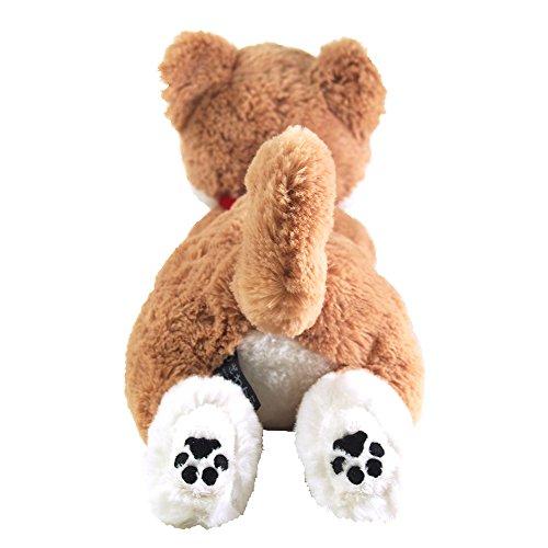 SUN LEMON Shiba Inu Lap Dog Plush Toy, Beige, Small, P-3052