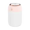 Creative Mini Humidifier, Colorful Light USB High Fog Volume Double Spray Nano Hydrator Household Gift