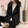 Women's Autumn and Winter Loose Sleeveless Vest Solid Color Sleeveless Commuter Jacket