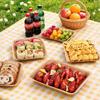 Rectangular Kraft Paper Disposable Plates