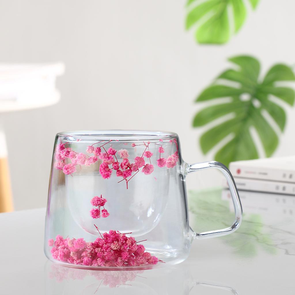 200ML Double Walled Glass Cups with Real Dried Flowers Heat Resistant Clear Coffee Mugs Floral Design Tea Cups for Elegant Sipping