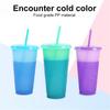 720ML Water Bottle Temperature Sensor Food Grade PP DIY Craft Color Changing Straw Water Tumbler