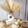 20Pcs Fluffy Texture Faux Plant Reed 50cm/22in Tall Pampas Grass Bouquet  Home Decoration