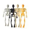 15cm Realistic Human Skeleton Miniature Hanging Tabletop Decor for Halloween Party Home Display Classroom Educational Prop