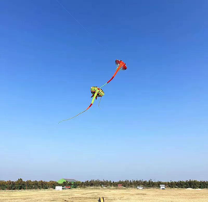 Weifang 3D Měkký Paprskový Drak: Snadno létající dospělý drak s dlouhým ocasem