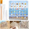 Seashell Display Box – 36 Grid Clear Acrylic Shell Holder & Organizer Case with Magnetic Lid for Sea Shell Collection, Crystals & Mini Collectibles