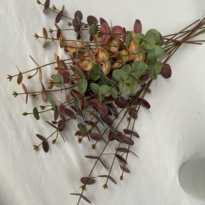 Peníze Eukalyptové Listy Stonky Pro Vnitřní Venkovní Svatba Dárek Dekorace