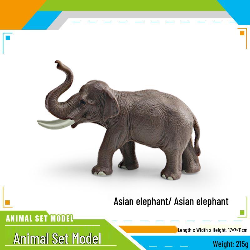 Wild Animal Model: Asian Elephant & Mammoth Cognitive Toy Decor for Kids