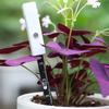 Soil Moisture Meter Temperature Humidity Tester Plant Monitor Garden Plant Detector Humidity Meter Tool