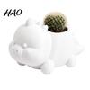 Cute Desktop Decoration 3D Printed Dinosaur Shaped Succulents Pot, Planter for Small Modern Desk Accessory Cactus Mini Plants, Decorative Flower