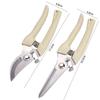 Stainless Steel Comfortable Grip Sharp Branch Shears Garden Supplies Grafting Tool Pruning Shears