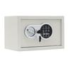 Li Shen Multi-functional Mini Safe