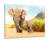 GLASS PROTECTIVE PLATE FOR STOVE 60x52 ELEPHANT