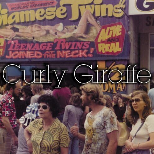 

CD CURLY GIRAFFE CURLY GIRAFFE - Curly Giraffe E.p BUCA9001 US Japanese Pop/Rock Used