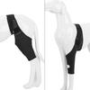 Dog Knee Support Brace Soft Neoprene Adjustable Breathable Dog Elbow Brace for Pain Relief