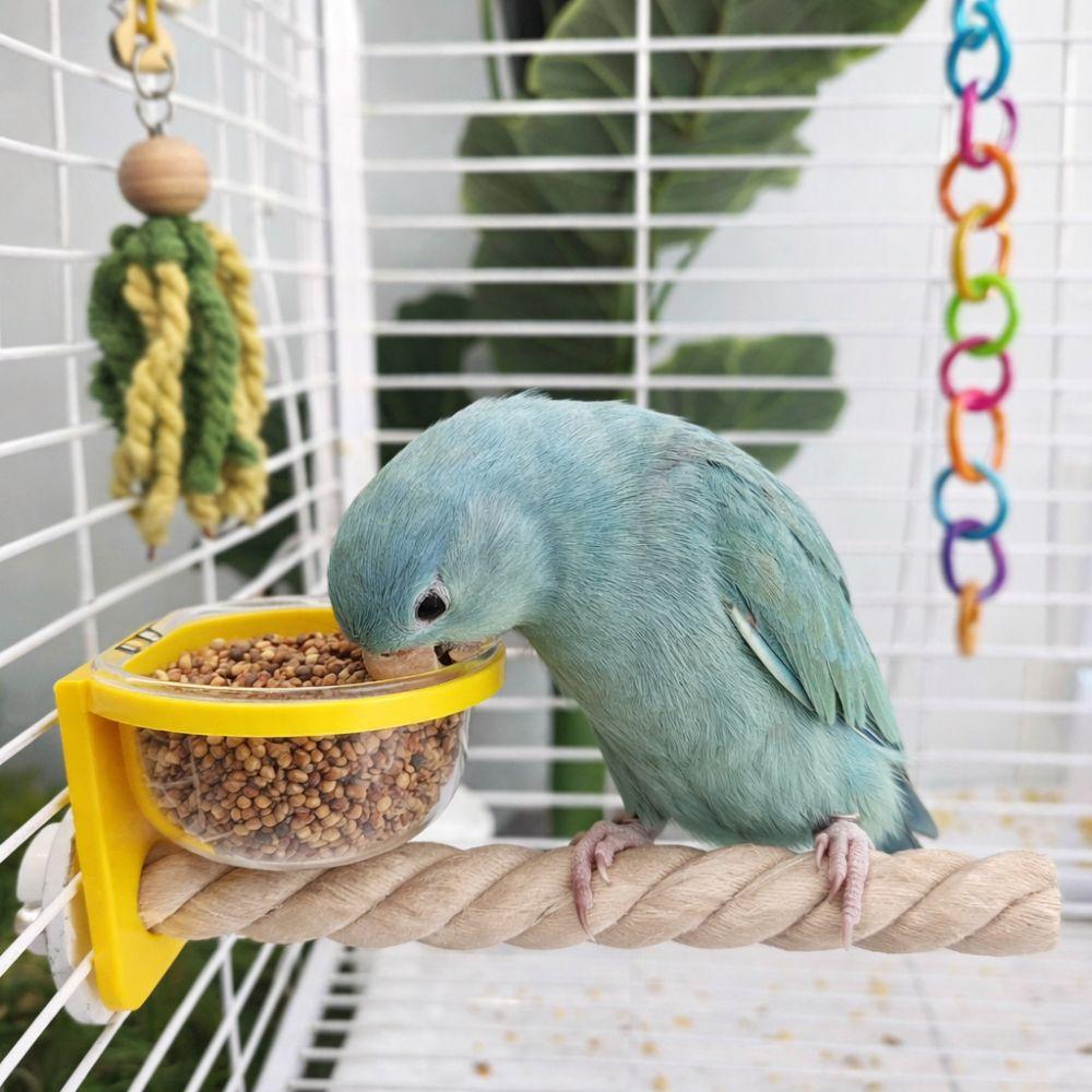 Interactive Bird Cage Feeder Wear-resistant Bird Perch Stand Parrot Wood Perch Exercise