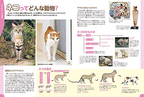 Dogs, Cats, and Pets (Gakken's Illustrated Encyclopedia LIVE)