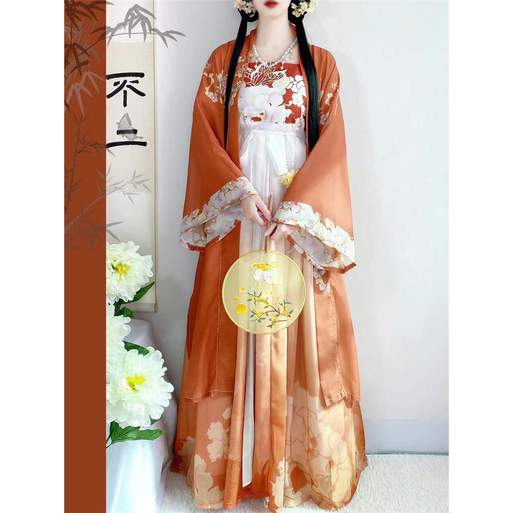 Women's Tang Dynasty Style Hanfu, Printed Hezi Skirt One-Piece Outfit, Traditional Chinese Daily Wear Costume
