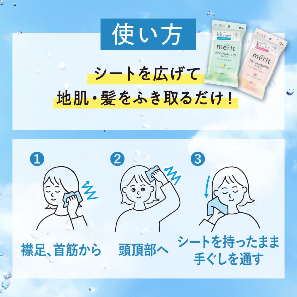 Merit Day Plus Dry Shampoo White 12 Sheets Sheets, Green,