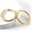 18K Stainless Steel Twisted Hoop Earrings for Women - European American Fashion, Simple Titanium Style