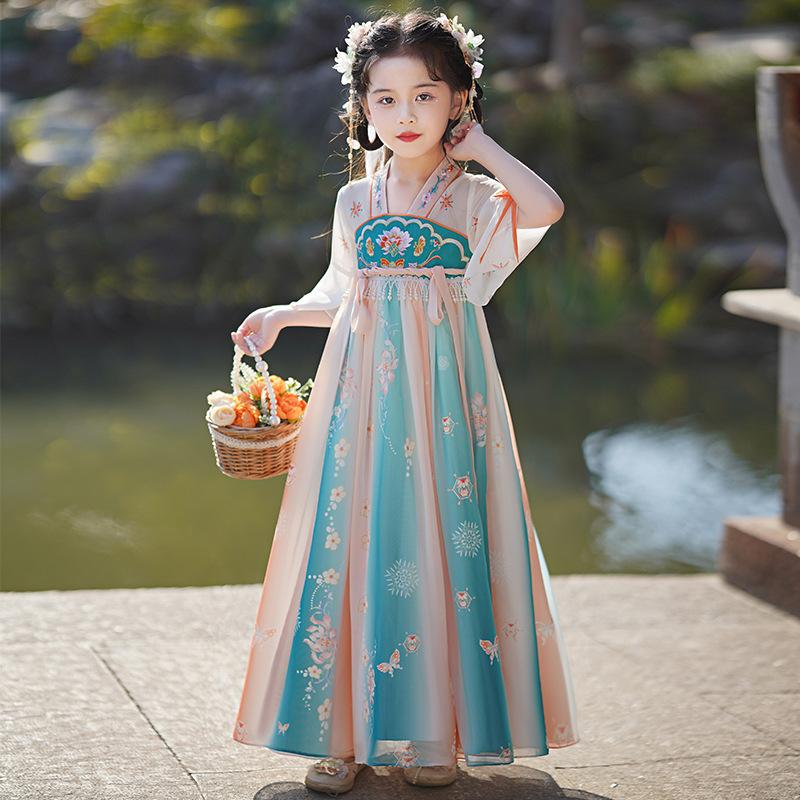 Girl Hanfu Ancient Costume Children Chinese Style Little Girl Dress Tang Dress Princess Skirt National Costume Children