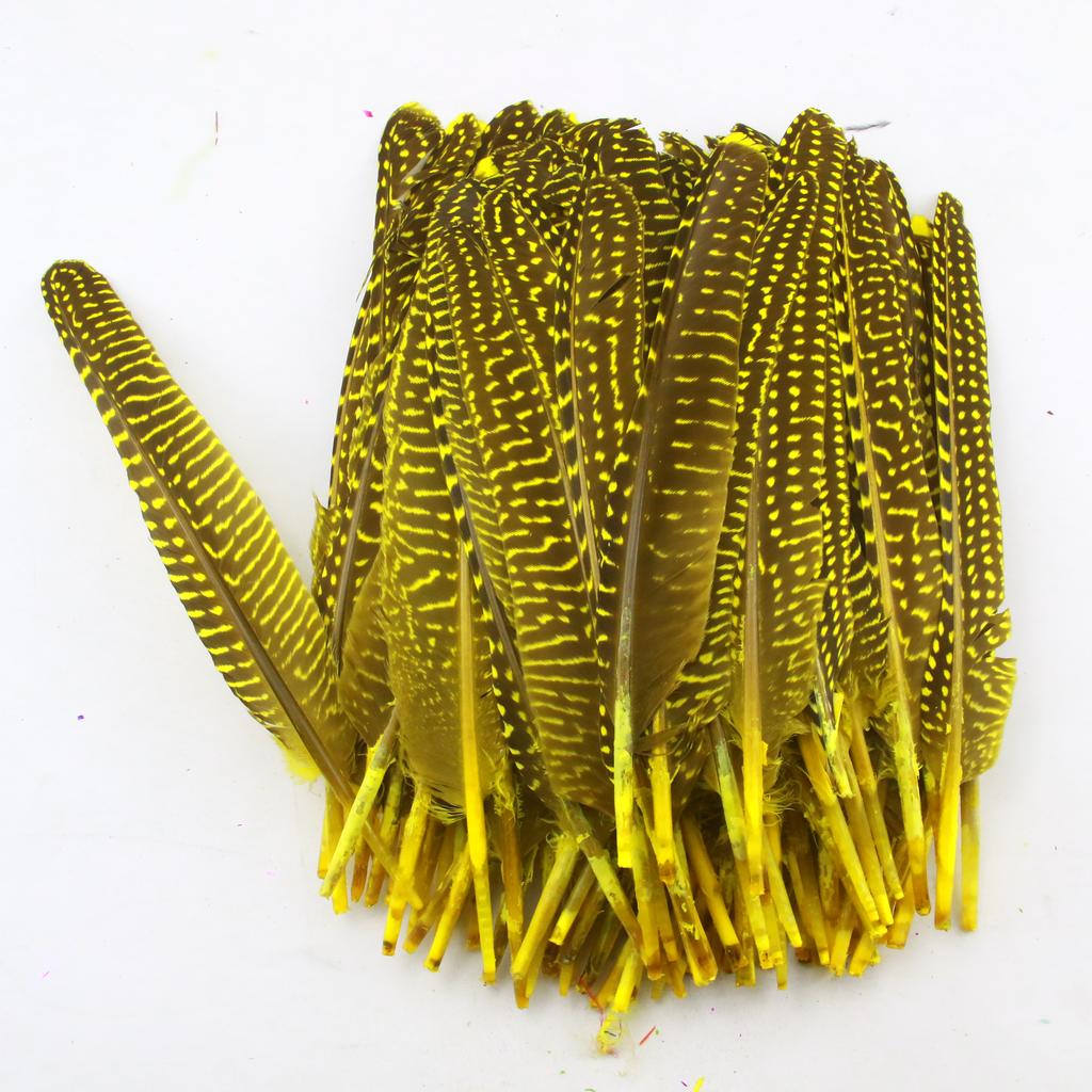 FeatherYellow Feathers for Crafts, 31 Styles Natural Pheasant, Rooster, Duck Feathers Bulk for Costume DIY, Fly Tying,Party Decoration