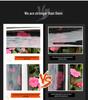 Honda City Sedan Window Visor Rain Guard
