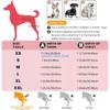 B0KB Leg Canine Support System For Tear Rehabilitation And Daily Comfort Pet Back Leg Support Stabilizer Adjustable