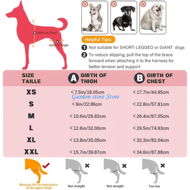 B0KB Leg Canine Support System For Tear Rehabilitation And Daily Comfort Pet Back Leg Support Stabilizer Adjustable