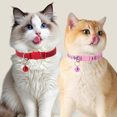 Gatos – Collares