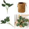 Turtle Back Leaf Faux Plant For Photography And Indoor Garden Decoration