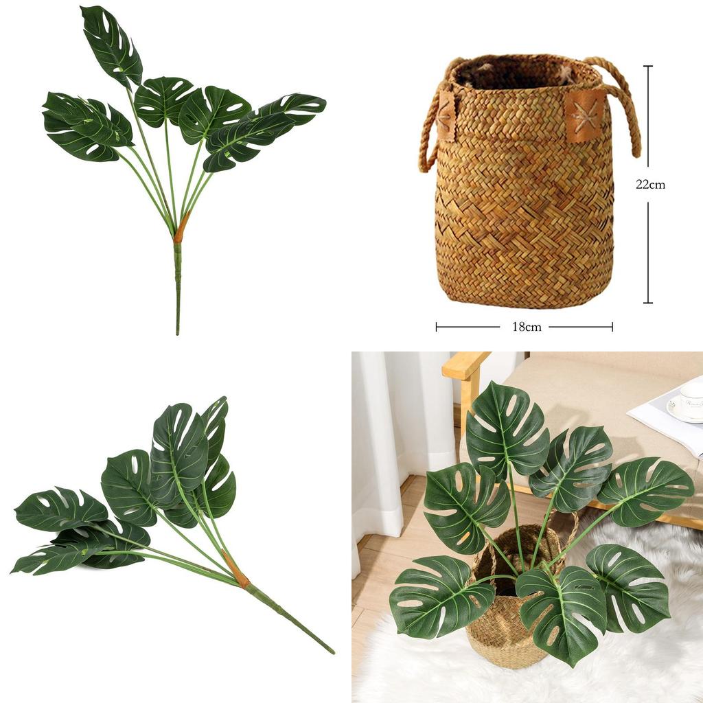 Turtle Back Leaf Faux Plant For Photography And Indoor Garden Decoration