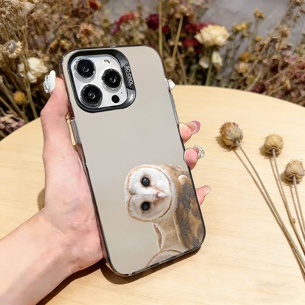 

Pet Cute Owl Phone Case For iPhone 17,16,15,14,13,12,11 Plus,Pro Max,XS,Colorful Silver Black Cover iPhone16Pro