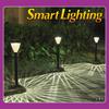 Stay lit until the next morning GWSOLAR's best-selling 3-piece [Smart] solar light set Warm white, 30 lumens [Smart Lighting]. Illuminate your garden