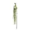 Hill Interiors False Amaranthus