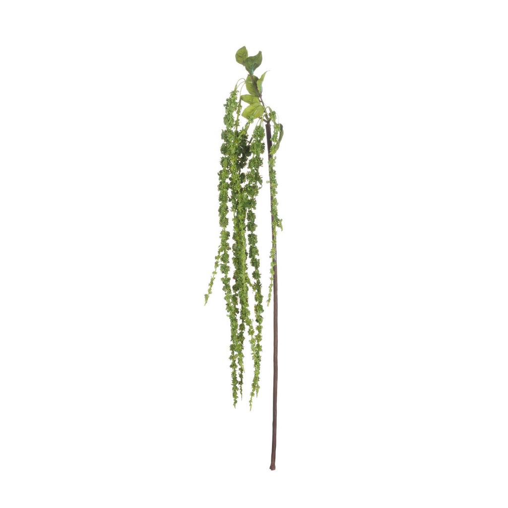 Hill Interiors False Amaranthus