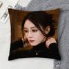 Dilireba Double-sided Printed Square Decorative Cushion Cover for Sofa Living Room Home Decor