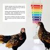 Wood Hanging Xylophone Toy Metal Components Bird Xylophone Fun Chicken Wooden Toy  Large Birds